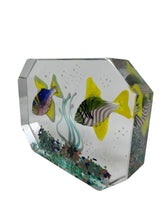 Load image into Gallery viewer, Murano Glass Aquarium by Costantini