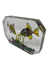 Load image into Gallery viewer, Murano Glass Aquarium by Costantini