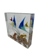 Load image into Gallery viewer, Costantini Murano Glass Aquarium