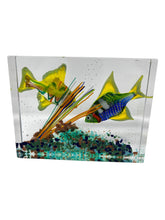 Load image into Gallery viewer, Murano Glass Aquarium