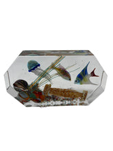 Load image into Gallery viewer, Paperweight Aquarium from Murano