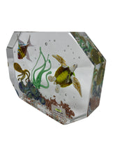 Load image into Gallery viewer, Diego Costantini Murano Glass Aquarium