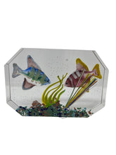 Load image into Gallery viewer, Murano Glass Aquarium