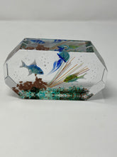 Load image into Gallery viewer, Murano Glass Aquarium