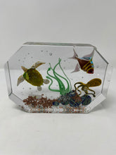 Load image into Gallery viewer, Diego Costantini Murano Glass Aquarium
