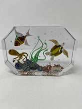 Load image into Gallery viewer, Diego Costantini Murano Glass Aquarium