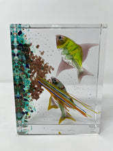 Load image into Gallery viewer, Aquarium From Murano, Italy