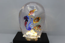 Load image into Gallery viewer, Murano Aquarium by Diego Costantini