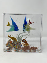 Load image into Gallery viewer, Costantini Murano Glass Aquarium