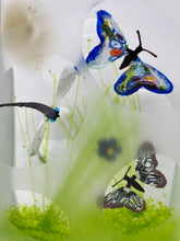 Load image into Gallery viewer, Butterfly Terrarium from Murano