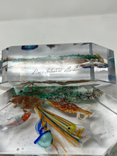 Load image into Gallery viewer, Aquarium Paperweight from Murano, Italy