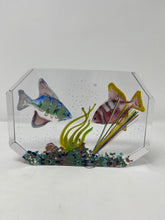 Load image into Gallery viewer, Murano Glass Aquarium