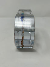 Load image into Gallery viewer, Miniature Aquarium Made with Murano Glass