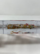 Load image into Gallery viewer, Aquarium by Costantini of Murano