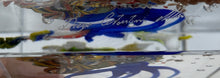 Load image into Gallery viewer, Murano Glass Aquarium