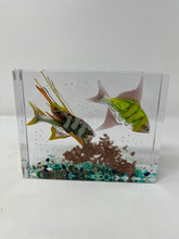 Load image into Gallery viewer, Aquarium From Murano, Italy