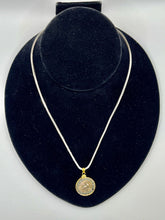 Load image into Gallery viewer, Pegasus and Emperor Gallienus Coin