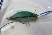 Load image into Gallery viewer, Aquarium Centerpiece by Pino Signoretto