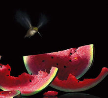 Load image into Gallery viewer, "Another Bite" Contemporary Still Life Giclee Print by Dario Campanile