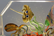 Load image into Gallery viewer, Murano Aquarium by Diego Costantini