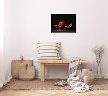 Load image into Gallery viewer, "Study of Pomegranate" Contemporary Still Life Giclee by Campanile