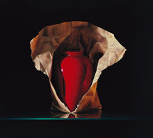 Load image into Gallery viewer, "Let Me See You" Contemporary Giclee Print by Dario Campanile