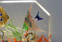 Load image into Gallery viewer, Murano Aquarium by Diego Costantini
