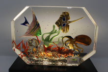 Load image into Gallery viewer, Murano Aquarium by Diego Costantini