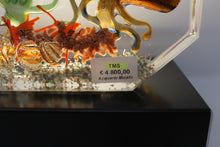 Load image into Gallery viewer, Murano Aquarium by Diego Costantini