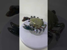 Load and play video in Gallery viewer, Murano Glass Crab by Oscar Zanetti
