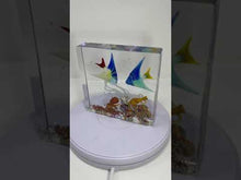 Load and play video in Gallery viewer, Murano Glass Aquarium by Costantini