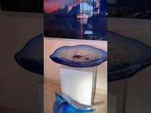 Load and play video in Gallery viewer, Aquarium Centerpiece by Pino Signoretto