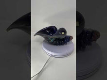 Load and play video in Gallery viewer, Oscar Zanetti - Calcedonia Seashell