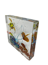 Load image into Gallery viewer, Fish Aquarium Made in Murano
