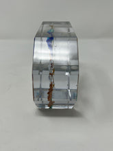 Load image into Gallery viewer, Miniature Aquarium Made with Murano Glass
