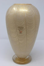 Load image into Gallery viewer, Gambaro &amp; Poggi - Piume Feather Glass Vase by Gambaro &amp; Poggi
