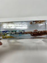 Load image into Gallery viewer, Fish Aquarium Made in Murano
