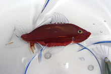 Load image into Gallery viewer, Aquarium Centerpiece by Pino Signoretto
