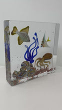 Load and play video in Gallery viewer, Murano Glass Aquarium
