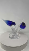 Load and play video in Gallery viewer, Murano Glass Bluebirds
