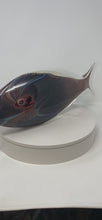Load and play video in Gallery viewer, Murano Glass Fish

