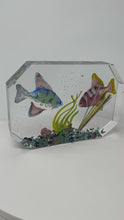 Load and play video in Gallery viewer, Murano Glass Aquarium
