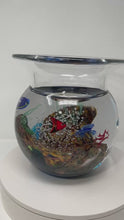 Load and play video in Gallery viewer, Large Fish Bowl Aquarium from Murano
