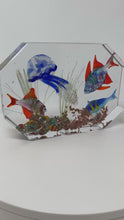 Load and play video in Gallery viewer, Murano Glass Aquarium by Costantini
