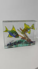 Load and play video in Gallery viewer, Murano Glass Aquarium
