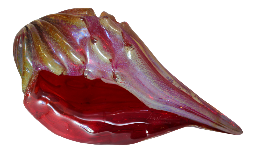 Murano Glass Sea Shell by Seguso Viro