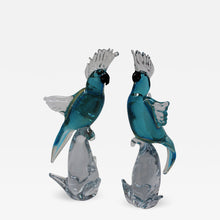 Load image into Gallery viewer, Matching Parakeets

