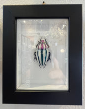 Load image into Gallery viewer, Murano Glass Beetle by Toffolo
