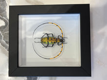 Load image into Gallery viewer, Murano Glass Beetle by Emanuel Toffolo
