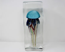 Load image into Gallery viewer, Deluxe Murano Aquarium by Diego Costantini
